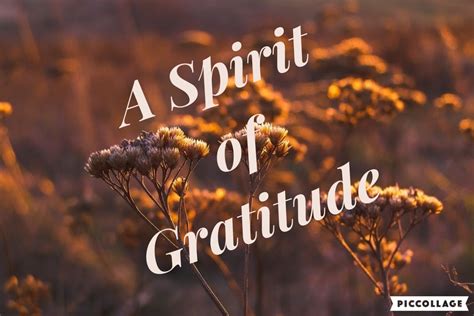 My Really Real Reality A Spirit Of Gratitude September 13