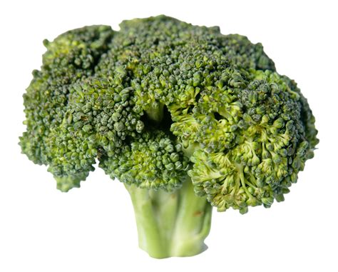 Broccoli Png Transparent Image Download Size 2340x1884px