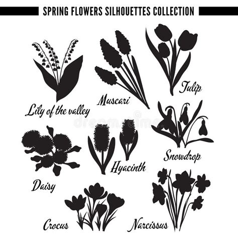 Spring Flowers Silhouettes Collection Set Stock Vector Illustration
