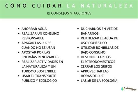 Cómo Cuidar La Naturaleza 13 Consejos Y Acciones