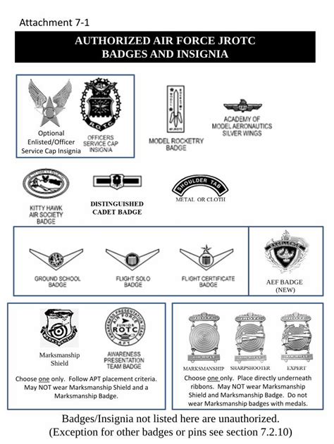 Pdf Authorized Air Force Jrotc Badges And Insignia · 2018 11 07 · 8