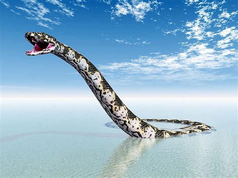 There are probably fewer than 5,000 in scattered habitats in kenya and ethiopia. What Was The Titanoboa? - WorldAtlas