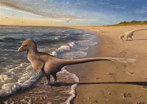 10 Facts About Utahraptor The Worlds Biggest Raptor