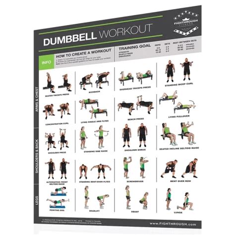 Fighthrough Fitness 18 X 24 Laminated Workout Poster Dumbbell