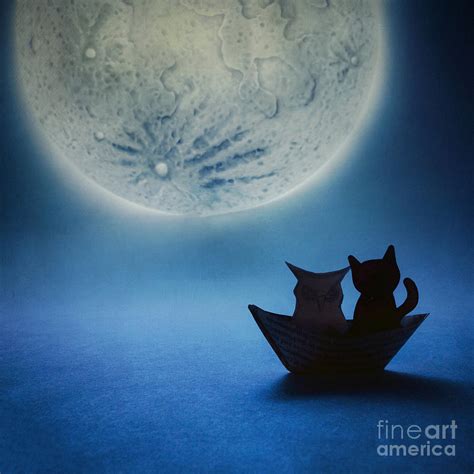 The Owl And The Pussycat Photograph By Catherine Macbride Fine Art
