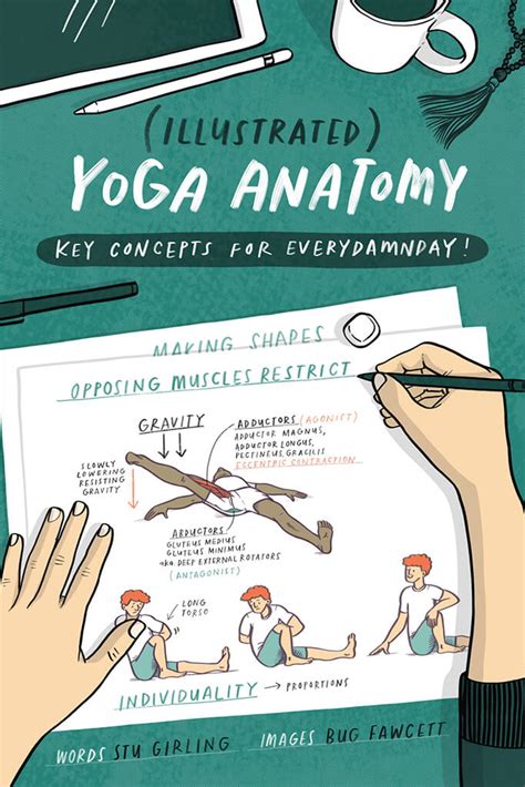illustrated yoga anatomy book physical practice of yoga poses