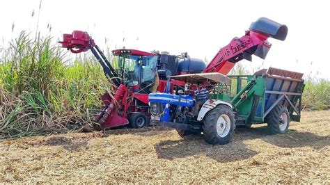 Case Ih Austoft 8000 Sugar Cane Harvester Force Balwan 500 Full