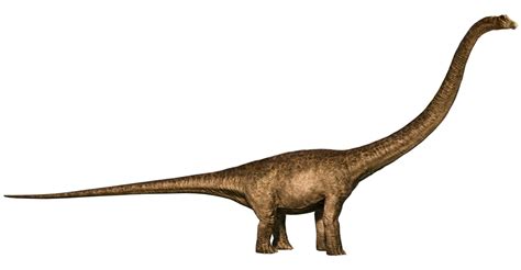 Mamenchisaurus Jurassic Park Wiki Fandom In 2022 Jurassic Park