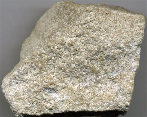 Oolitic Limestone 1 Sedimentary Rocks Form By The Solidifi Flickr