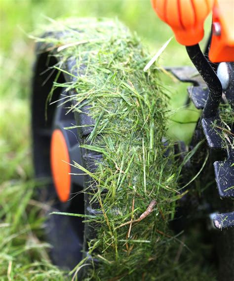 Why mowing after heavy rain could ruin your lawn mower | Gardeningetc