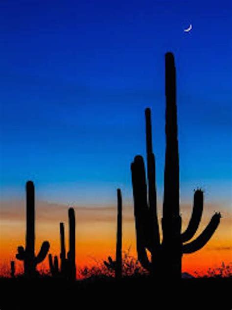 Arizona Sunset With Blue Sky Desert Sunset Tucson