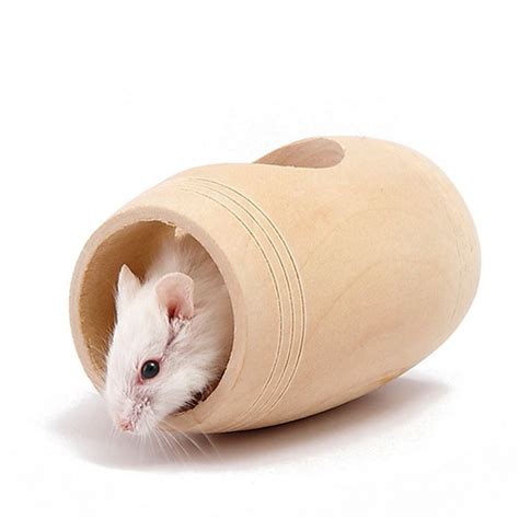 Online Get Cheap Hamsters For Sale Alibaba Group