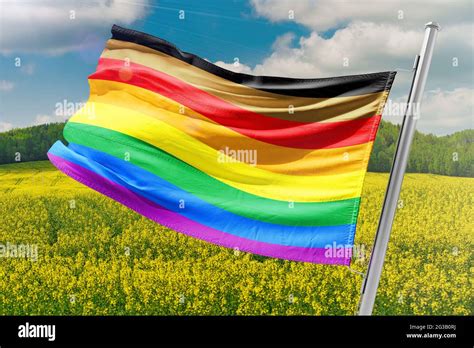 The New Pride Flags Progress Pride Flag Lgbtq Rainbow Flag Quasar