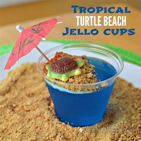 Blue Raspberry Jello Cups For Kids Tropical Turtle Beach Kleinworth