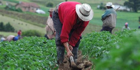 Agricultura Por Contrato En Colombia Perspectivas Y Retos Blog De
