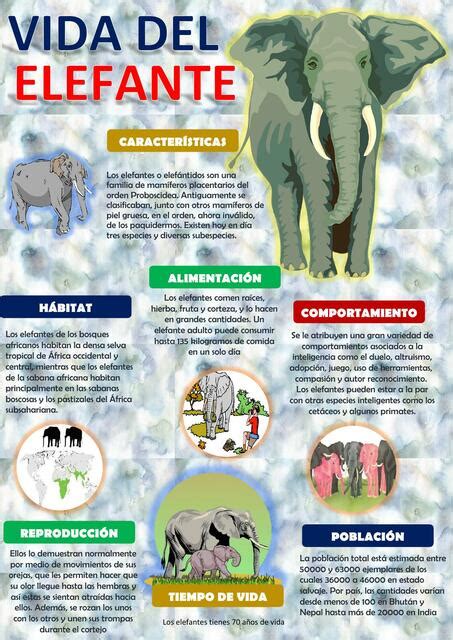 El Elefante Fernanda Horna Garcia Udocz