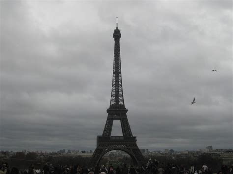 Paris In The Rain Quipidity