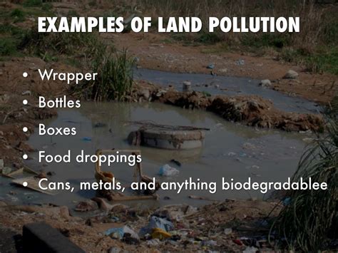 Land Pollution Types