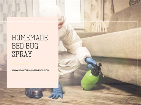 Homemade Bed Bug Spray The Only Recipe You Will Ever Need 2022