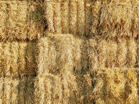 Hay Free Photo Download Freeimages