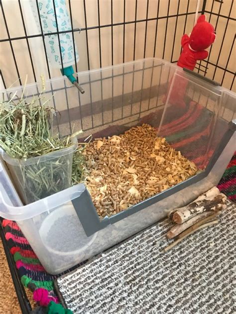 Diy Bunny Litter Box With Diy Hay Rack Pet Bunny Rabbits Bunny Cages