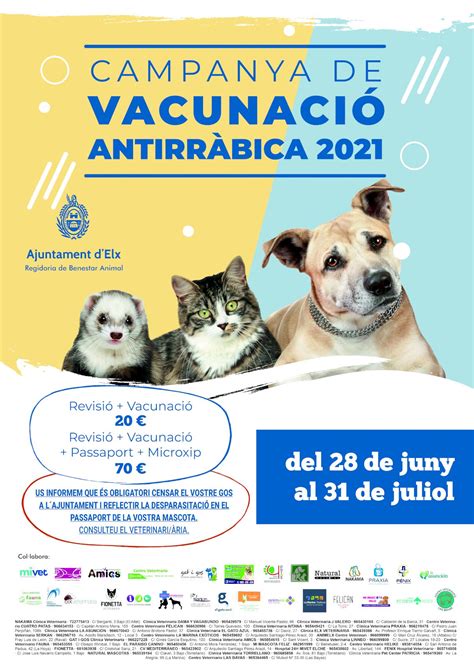 El Ayuntamiento comienza la Campaña de Vacunación Antirrábica en perros gatos y hurones