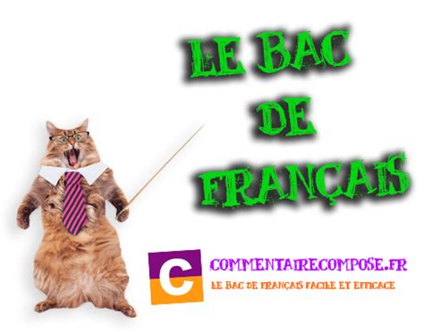 Pas de panique, on a tout prévu ! Bac de français : organise tes révisions