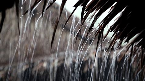 Tropical Downpour Raindrops Fall From Roof Stock Video Footage 0018