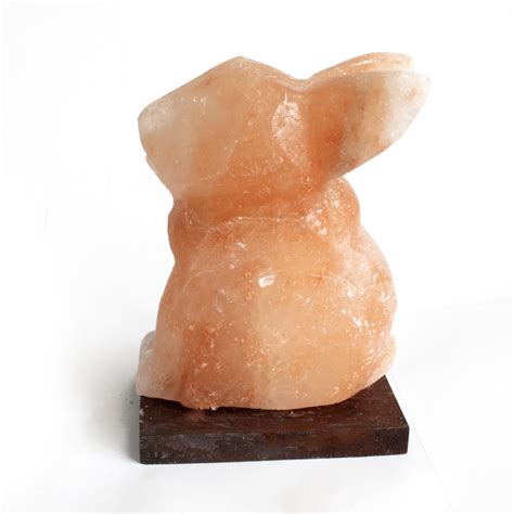 Himalayan salt lamps generate negative ions. Animal salt lamps - Rabbit - Ancient Wisdom - Wholesale ...