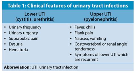 Recurrent Urinary Tract Infections Management Strategies Walter