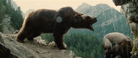 The Bear 1988 Movie Reviews Simbasible