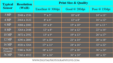 Technically speaking, digital assets are any electronic record that you own, license, or control. Megapixels vs. Print Size - How Big Can You Print ...