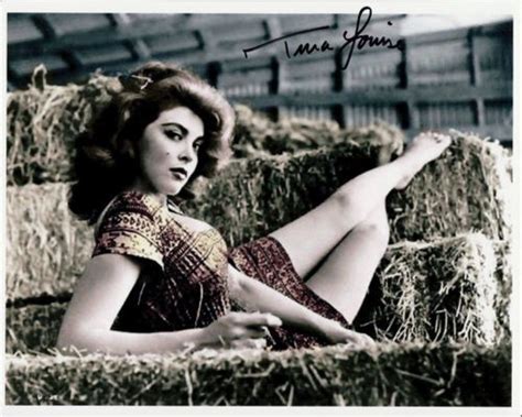 Tina Louise Hand Signed Barefoot Young Sexy 8x10 In Bales Of Hay W L