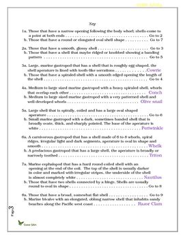 Free printable science worksheets word lists and activities. Dichotomous Key: Classification Key for Shells of Mollusks ...
