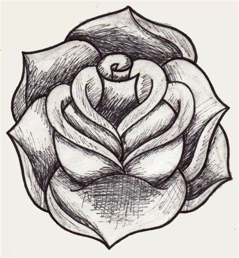 20 Sketsa Bunga Mawar Mudah Di Gambar Dan Sederhana