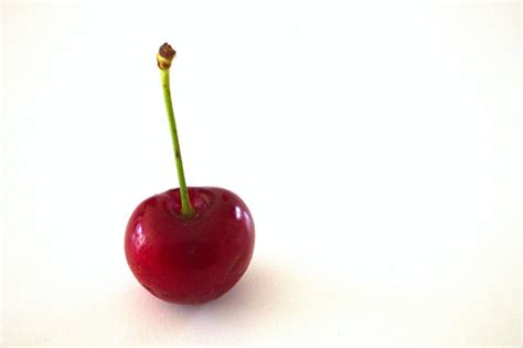 Single Red Cherry Free Stock Photo Public Domain Pictures