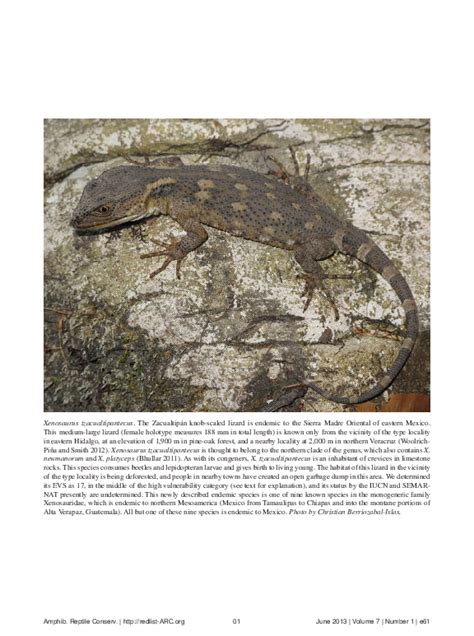 (PDF) A conservation reassessment of the reptiles of ...