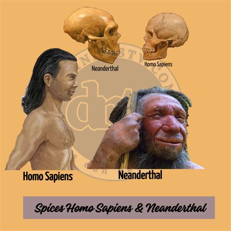 Homo Sapiens Manusia Cerdas Dalam Kehidupan Modern Delinewstv