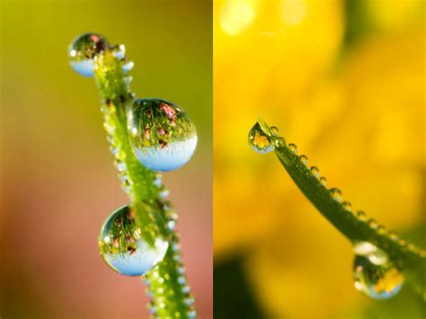 Water Drop Photography Tips Ephotozine