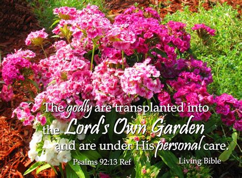 Biblical Quotes Gardening Quotesgram