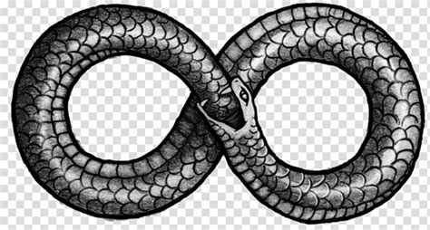 Snake Infinity Illustration Snake The Cosmic Serpent Ouroboros Tail