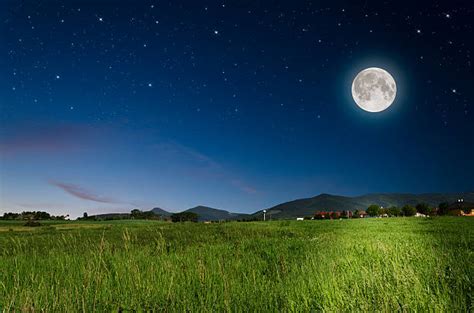 Full Moon And Grass Stock Photos Pictures And Royalty Free Images Istock