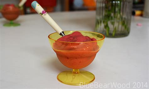 Super Easy Raspberry Sorbet Blue Bear Wood