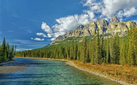 Nature Harmony Mac Wallpaper Download | AllMacWallpaper