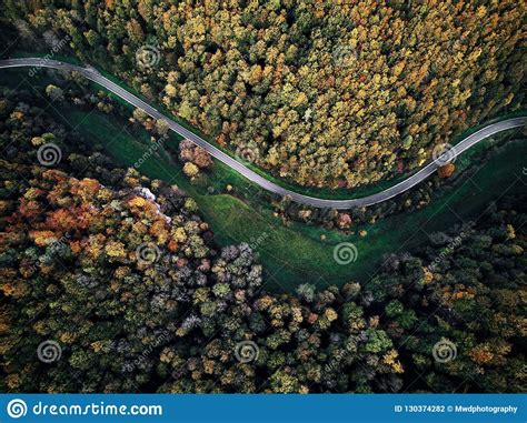 Street Between Autumn Trees In The Forest Aerial Drone View From Above