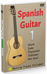 Spanish Guitar Course Photos