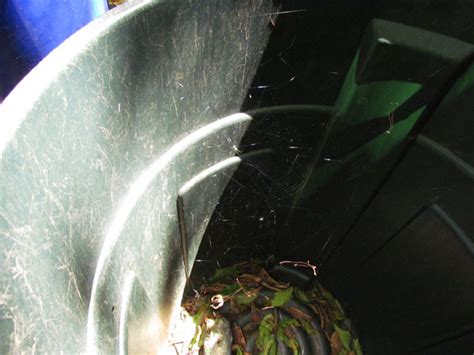 The door in the basement game spider. Basement Door Restoration, Cont'd. Crawls Backward (When ...