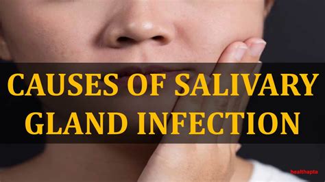 Diagram Diagram Of Infected Salivary Glands Mydiagramonline