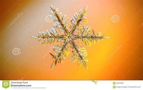 Natural Ice Crystal Snowflake Stock Image Image Of Frost Christmas