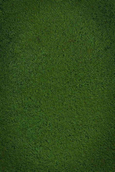 47 Grass Wallpaper On Wallpapersafari